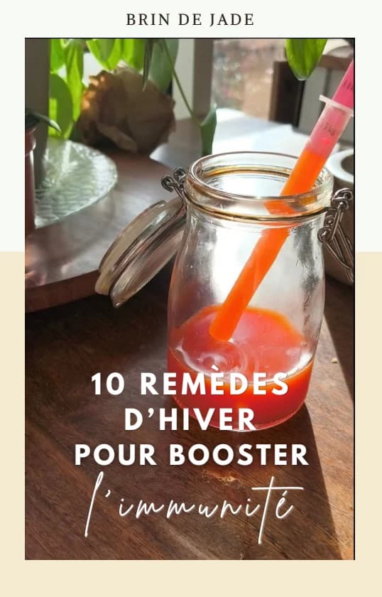 Couverture du guide Brin de Jade : 10 remèdes d’hiver pour booster l’immunité