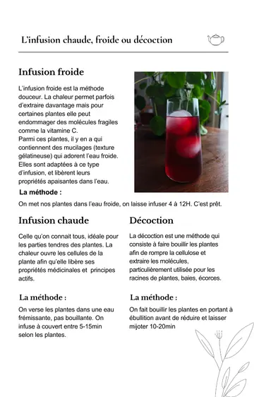 Extrait réel : Infusion chaude, froide ou décoction